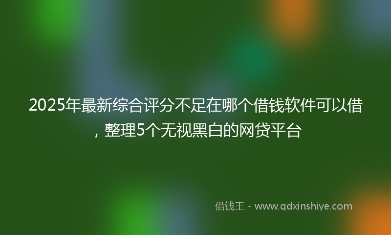 2025年最新综合评分不足在哪个借钱软件可以借，整理5个无视黑白的网贷平台