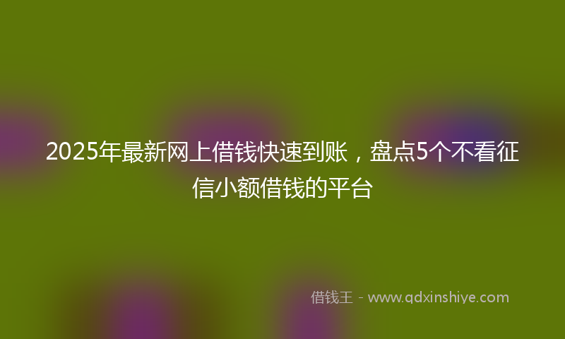 2025年最新网上借钱快速到账，盘点5个不看征信小额借钱的平台
