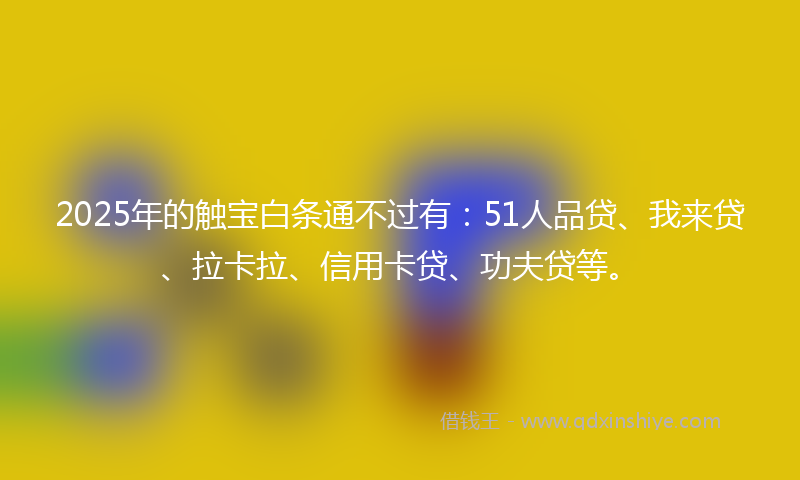 2025年的触宝白条通不过有：51人品贷、我来贷、拉卡拉、信用卡贷、功夫贷等。