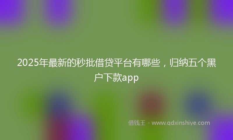 2025年最新的秒批借贷平台有哪些，归纳五个黑户下款app
