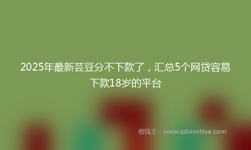 2025年最新芸豆分不下款了，汇总5个网贷容易下款18岁的平台