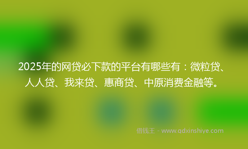 2025年的网贷必下款的平台有哪些有：微粒贷、人人贷、我来贷、惠商贷、中原消费金融等。