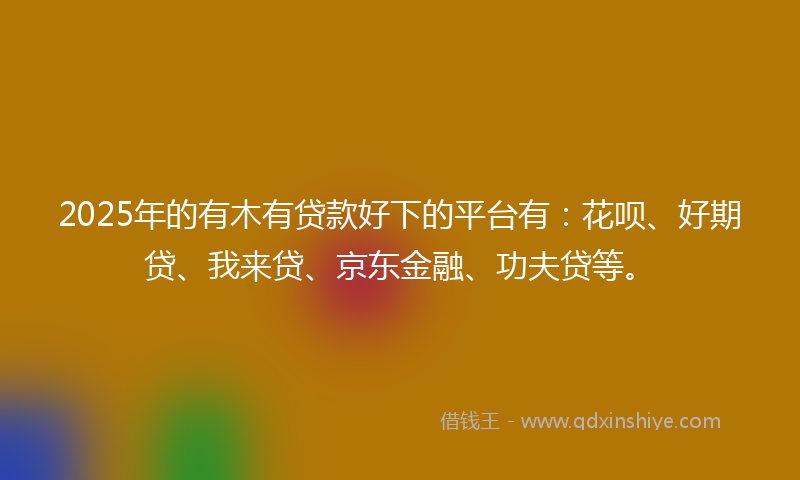 2025年的有木有贷款好下的平台有：花呗、好期贷、我来贷、京东金融、功夫贷等。