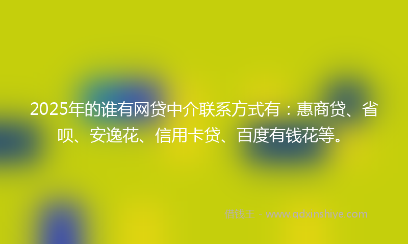 2025年的谁有网贷中介联系方式有：惠商贷、省呗、安逸花、信用卡贷、百度有钱花等。