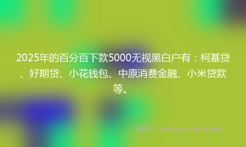 2025年的百分百下款5000无视黑白户有：柯基贷、好期贷、小花钱包、中原消费金融、小米贷款等。