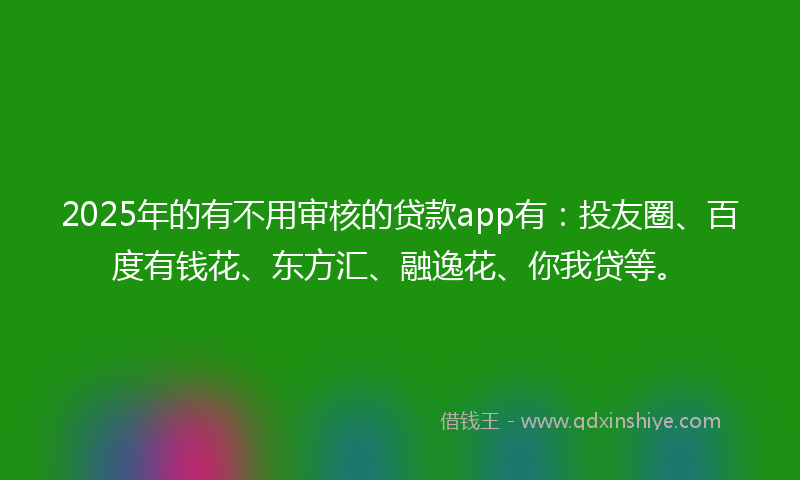 2025年的有不用审核的贷款app有：投友圈、百度有钱花、东方汇、融逸花、你我贷等。