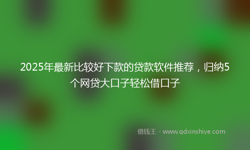 2025年最新比较好下款的贷款软件推荐，归纳5个网贷大口子轻松借口子