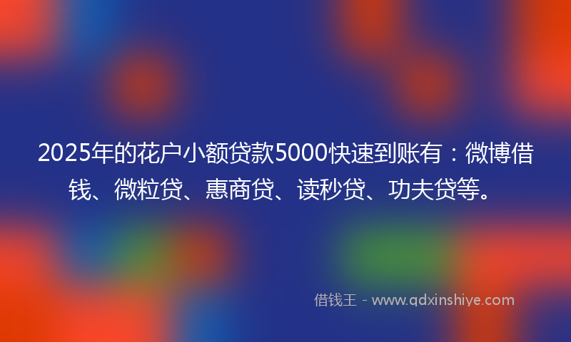 2025年的花户小额贷款5000快速到账有：微博借钱、微粒贷、惠商贷、读秒贷、功夫贷等。