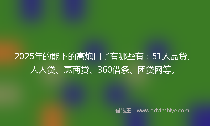 2025年的能下的高炮口子有哪些有：51人品贷、人人贷、惠商贷、360借条、团贷网等。