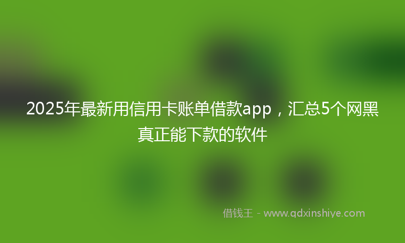2025年最新用信用卡账单借款app，汇总5个网黑真正能下款的软件