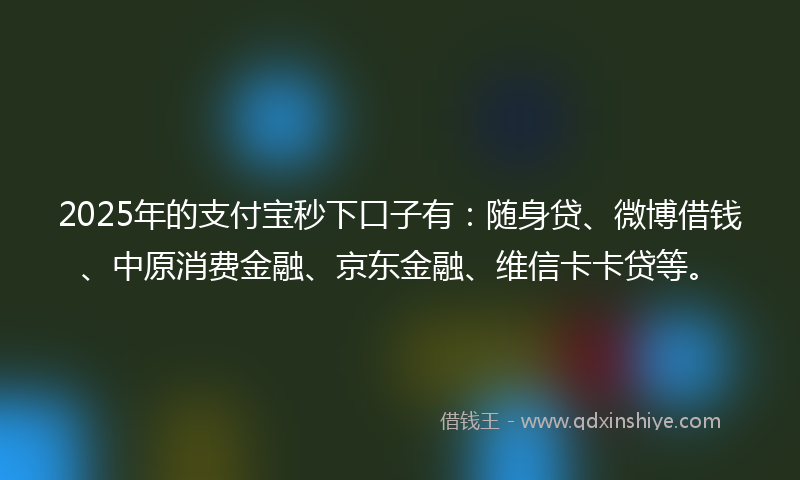 2025年的支付宝秒下口子有：随身贷、微博借钱、中原消费金融、京东金融、维信卡卡贷等。
