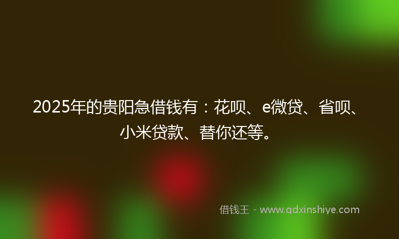 2025年的贵阳急借钱有：花呗、e微贷、省呗、小米贷款、替你还等。
