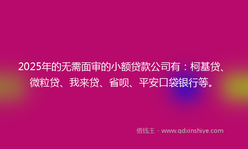 2025年的无需面审的小额贷款公司有：柯基贷、微粒贷、我来贷、省呗、平安口袋银行等。
