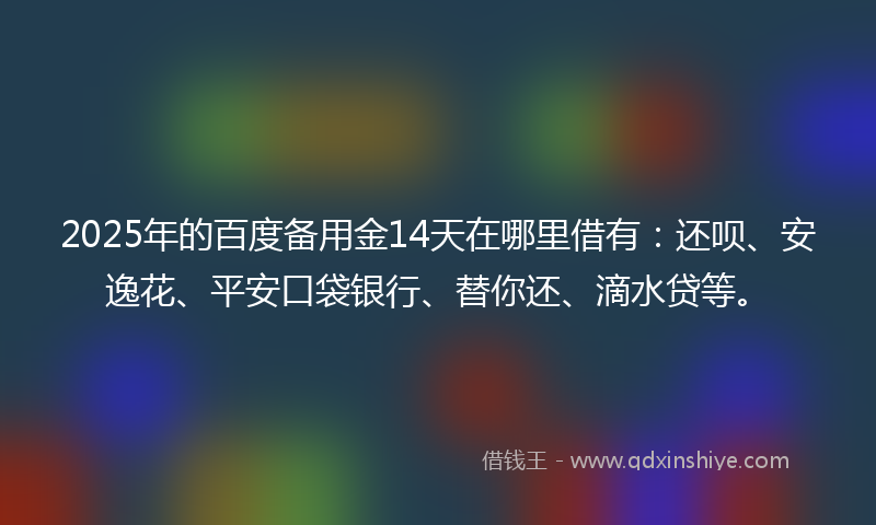 2025年的百度备用金14天在哪里借有：还呗、安逸花、平安口袋银行、替你还、滴水贷等。
