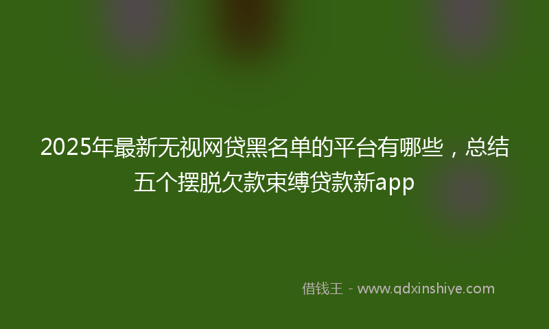 2025年最新无视网贷黑名单的平台有哪些，总结五个摆脱欠款束缚贷款新app
