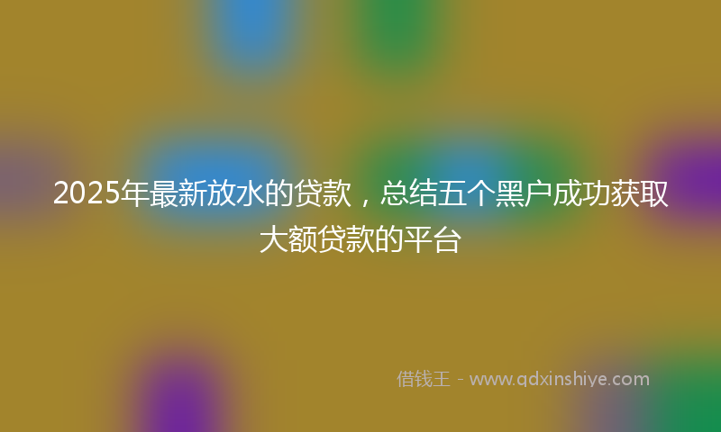 2025年最新放水的贷款，总结五个黑户成功获取大额贷款的平台
