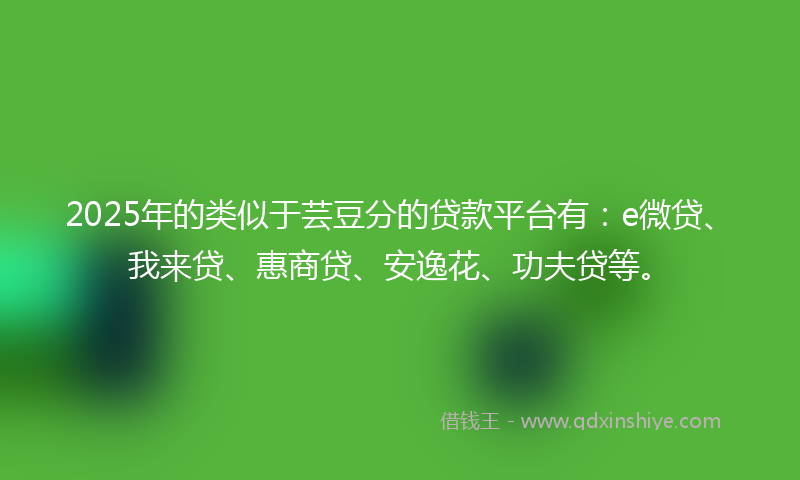 2025年的类似于芸豆分的贷款平台有：e微贷、我来贷、惠商贷、安逸花、功夫贷等。