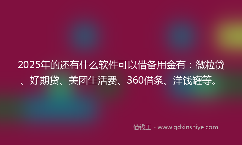 2025年的还有什么软件可以借备用金有：微粒贷、好期贷、美团生活费、360借条、洋钱罐等。