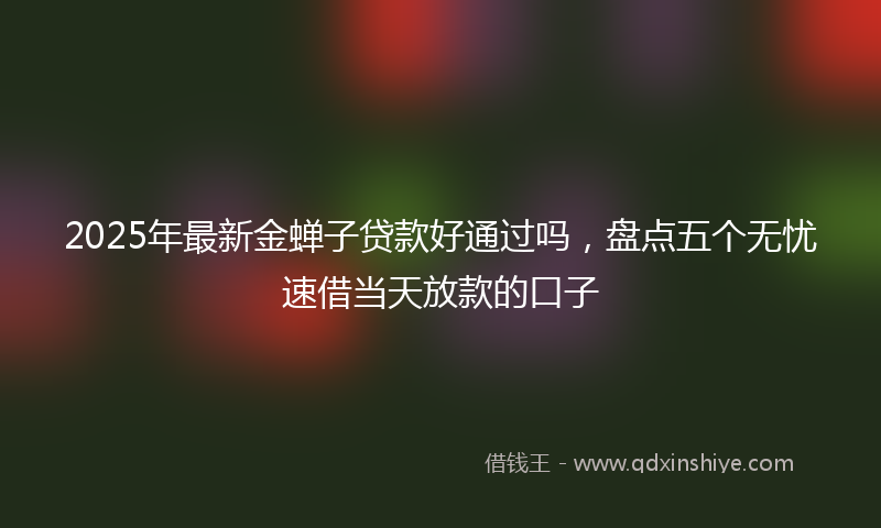 2025年最新金蝉子贷款好通过吗，盘点五个无忧速借当天放款的口子