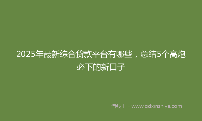 2025年最新综合贷款平台有哪些，总结5个高炮必下的新口子