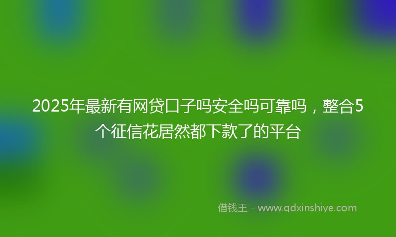 2025年最新有网贷口子吗安全吗可靠吗，整合5个征信花居然都下款了的平台