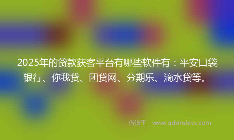 2025年的贷款获客平台有哪些软件有：平安口袋银行、你我贷、团贷网、分期乐、滴水贷等。
