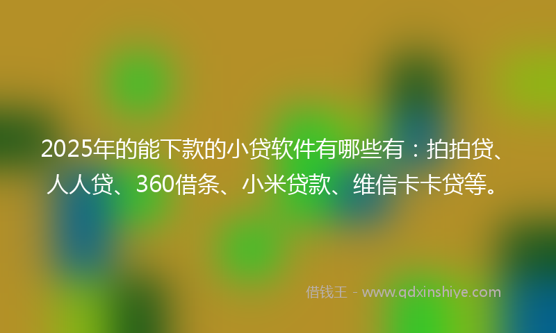 2025年的能下款的小贷软件有哪些有:拍拍贷、人人贷、360借条、小米贷款、维信卡卡贷等。