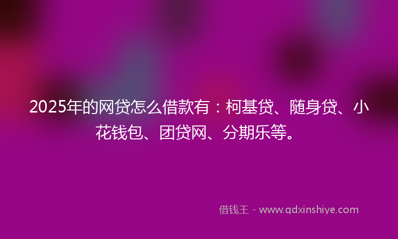 2025年的网贷怎么借款有：柯基贷、随身贷、小花钱包、团贷网、分期乐等。