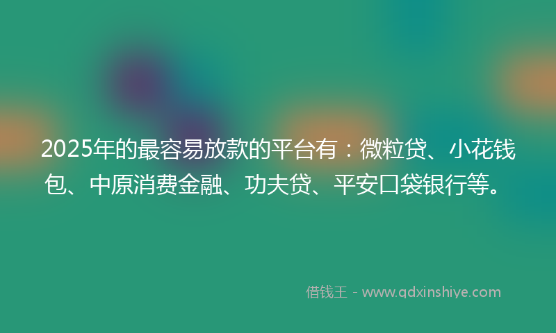 2025年的最容易放款的平台有：微粒贷、小花钱包、中原消费金融、功夫贷、平安口袋银行等。
