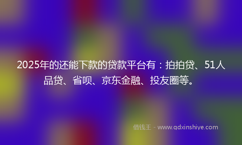 2025年的还能下款的贷款平台有：拍拍贷、51人品贷、省呗、京东金融、投友圈等。