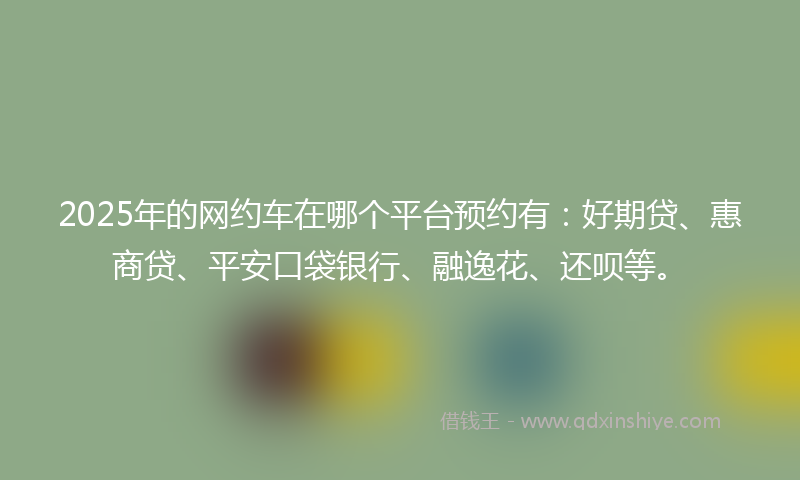 2025年的网约车在哪个平台预约有：好期贷、惠商贷、平安口袋银行、融逸花、还呗等。