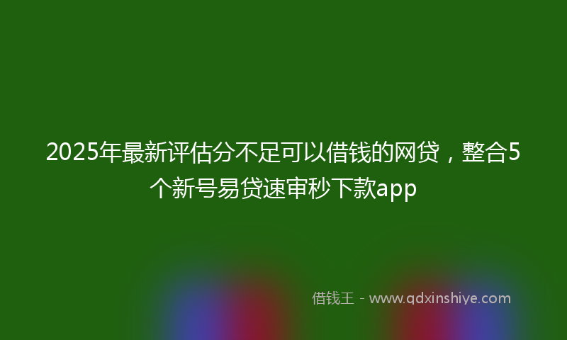 2025年最新评估分不足可以借钱的网贷，整合5个新号易贷速审秒下款app