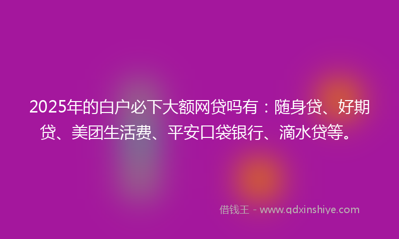 2025年的白户必下大额网贷吗有：随身贷、好期贷、美团生活费、平安口袋银行、滴水贷等。