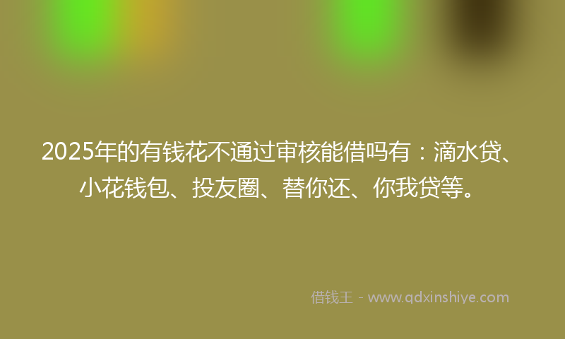 2025年的有钱花不通过审核能借吗有：滴水贷、小花钱包、投友圈、替你还、你我贷等。