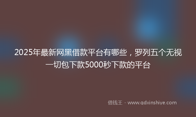 2025年最新网黑借款平台有哪些，罗列五个无视一切包下款5000秒下款的平台