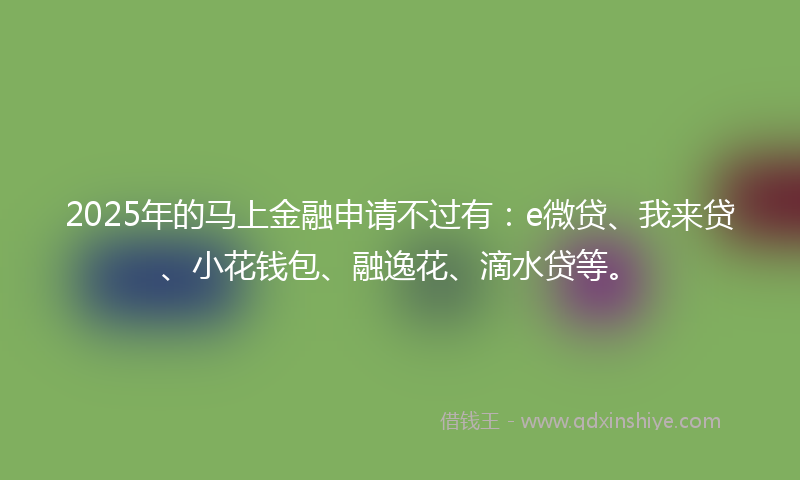 2025年的马上金融申请不过有：e微贷、我来贷、小花钱包、融逸花、滴水贷等。