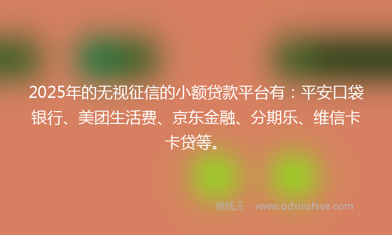 2025年的无视征信的小额贷款平台有：平安口袋银行、美团生活费、京东金融、分期乐、维信卡卡贷等。