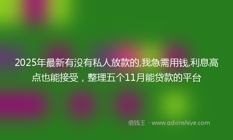 2025年最新有没有私人放款的,我急需用钱,利息高点也能接受，整理五个11月能贷款的平台