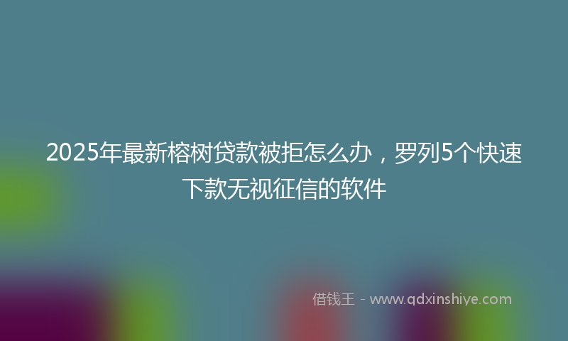 2025年最新榕树贷款被拒怎么办，罗列5个快速下款无视征信的软件