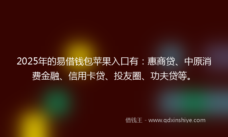 2025年的易借钱包苹果入口有：惠商贷、中原消费金融、信用卡贷、投友圈、功夫贷等。
