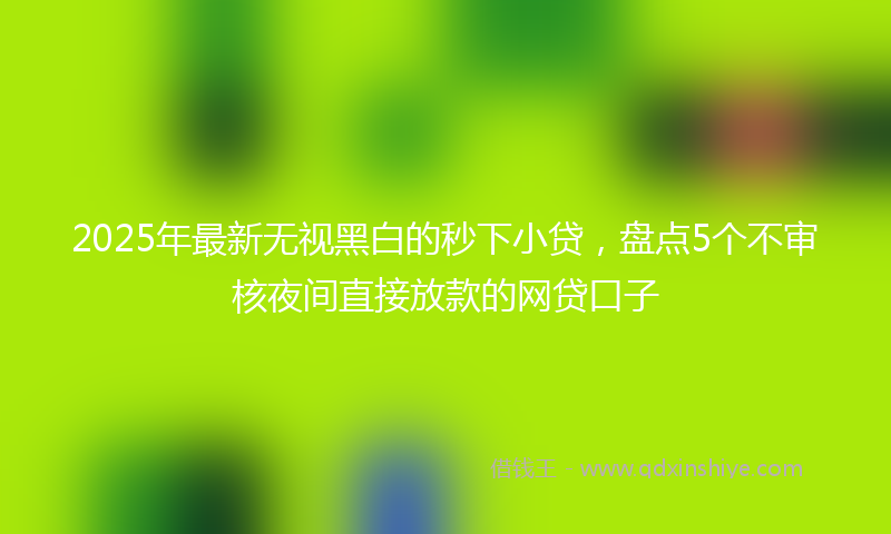 2025年最新无视黑白的秒下小贷，盘点5个不审核夜间直接放款的网贷口子