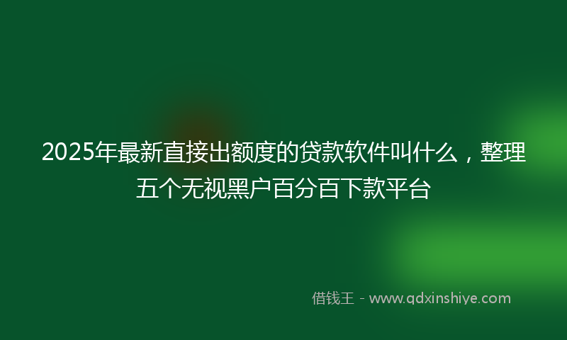 2025年最新直接出额度的贷款软件叫什么，整理五个无视黑户百分百下款平台