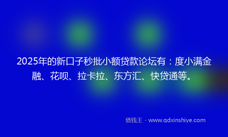2025年的新口子秒批小额贷款论坛有：度小满金融、花呗、拉卡拉、东方汇、快贷通等。