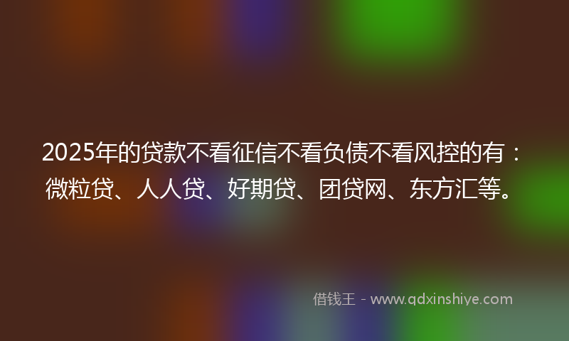 2025年的贷款不看征信不看负债不看风控的有：微粒贷、人人贷、好期贷、团贷网、东方汇等。