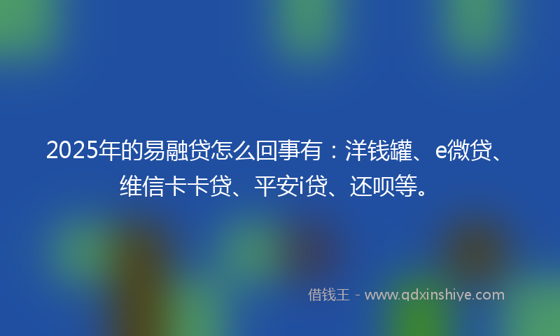 2025年的易融贷怎么回事有：洋钱罐、e微贷、维信卡卡贷、平安i贷、还呗等。