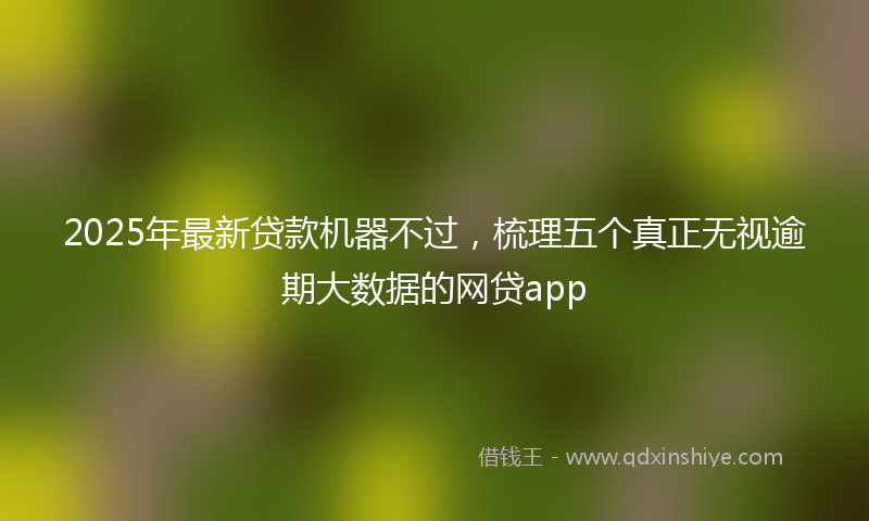 2025年最新贷款机器不过，梳理五个真正无视逾期大数据的网贷app