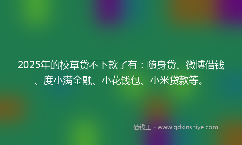 2025年的校草贷不下款了有：随身贷、微博借钱、度小满金融、小花钱包、小米贷款等。