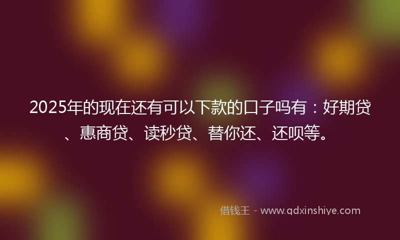 2025年的现在还有可以下款的口子吗有：好期贷、惠商贷、读秒贷、替你还、还呗等。