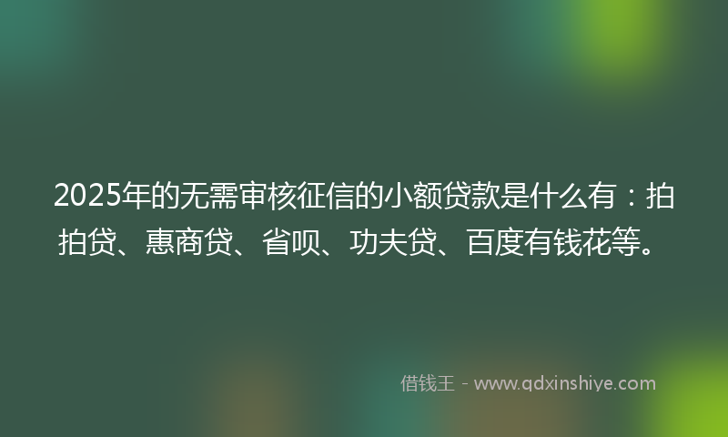 2025年的无需审核征信的小额贷款是什么有：拍拍贷、惠商贷、省呗、功夫贷、百度有钱花等。