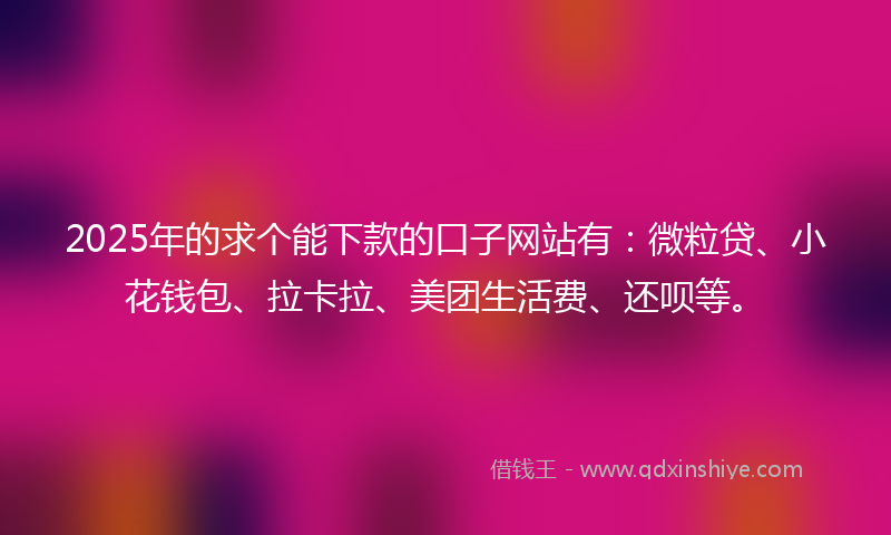 2025年的求个能下款的口子网站有：微粒贷、小花钱包、拉卡拉、美团生活费、还呗等。